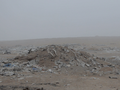 [ALT_TEXT_PLACEHOLDER]