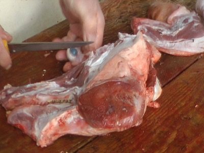 [ALT_TEXT_PLACEHOLDER]