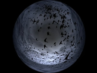 [ALT_TEXT_PLACEHOLDER]